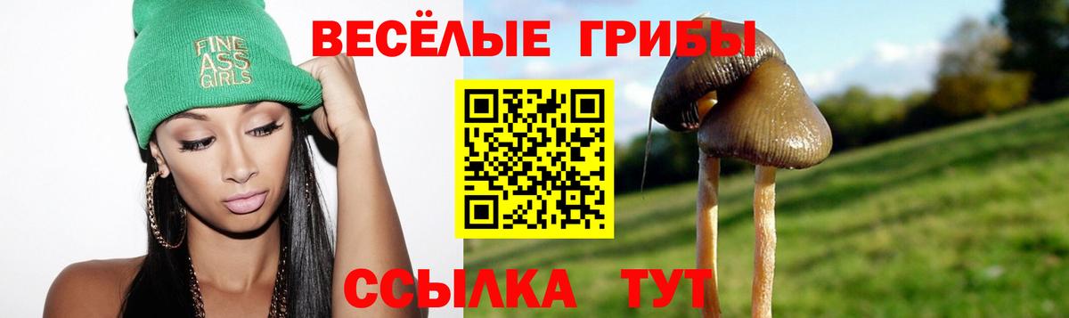 Псилоцибиновые грибы ЛСД  Вход с VPN  Ржев 
